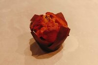 Blueberry muffin