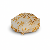 Tartelette citoen meringue glutenvrij