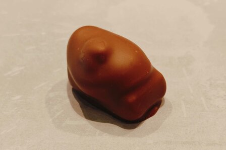 Hazelnoot pralin&eacute; truffel melk